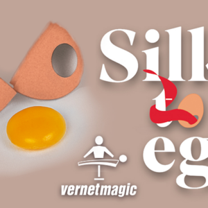 Silk to Egg (Brown) by Vernet – Trick - magic tricks