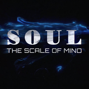 SOUL (Gimmicks and Online Instructions) by Wenzi – Trick - magic tricks