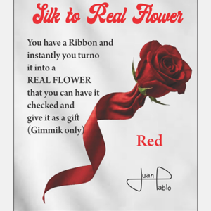 Silk to Real Flower (Red) by Juan Pablo - magic tricks