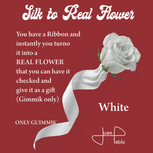 Silk to Real Flower (White) by Juan Pablo - magic tricks