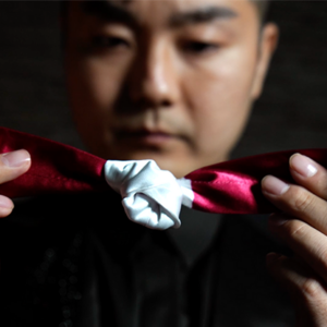 Hopping Tie by Leon & MS Magic