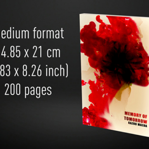 Babel Book Test 4 by Vincent Hedan (Memory of Tomorrow), medium, 600 pages