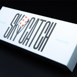 Sky Catch by Taylor Hughes