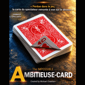 IMPOSSIBLE AMBITIEUSE CARD (BLUE) by Mickael Chatelain